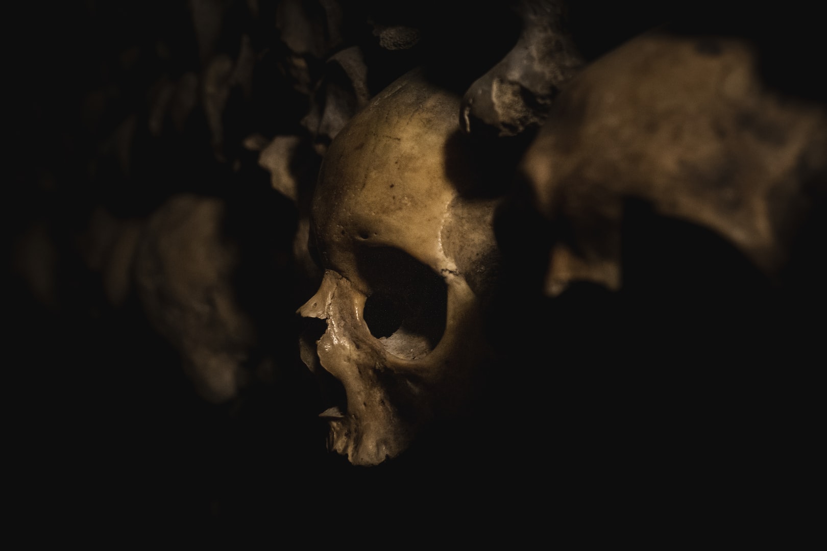 Choco Works Skull Banner